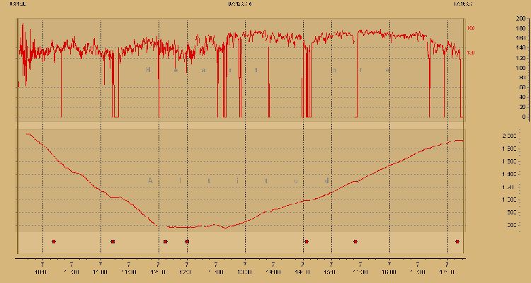 SuuntoHR Graph