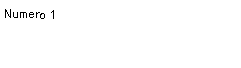 Text Box: Numero 1	