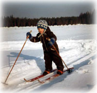 Tommi 3v